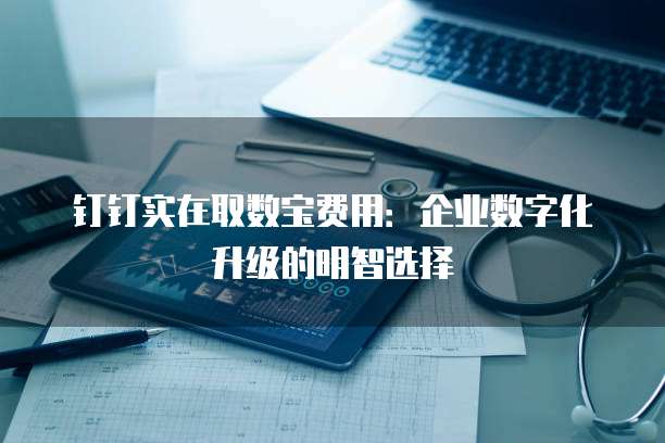 钉钉实在取数宝费用：企业数字化升级的明智选择