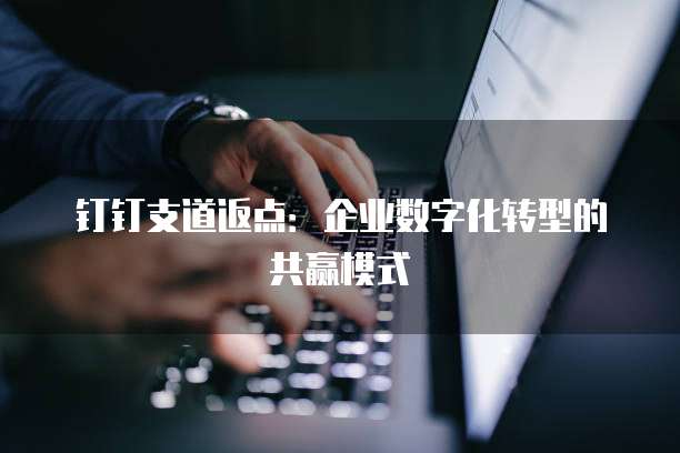 钉钉支道返点:企业数字化转型的共赢模式