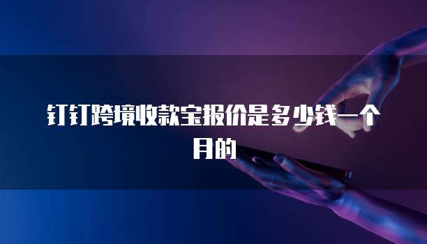 钉钉跨境收款宝报价是多少钱一个月的