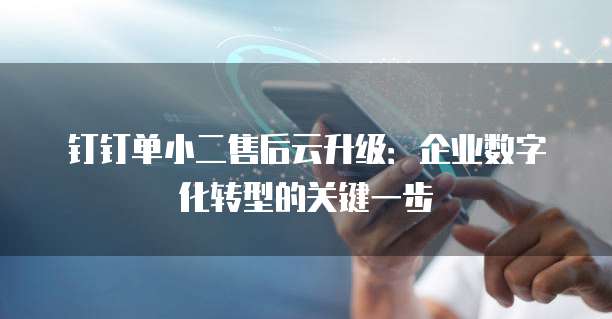 钉钉单小二售后云升级:企业数字化转型的关键一步