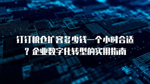 钉钉粮仓扩容多少钱一个小时合适?企业数字化转型的实用指南