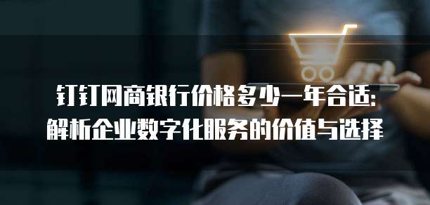 钉钉网商银行价格多少一年合适:解析企业数字化服务的价值与选择