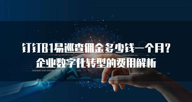 钉钉B1易巡查佣金多少钱一个月?企业数字化转型的费用解析