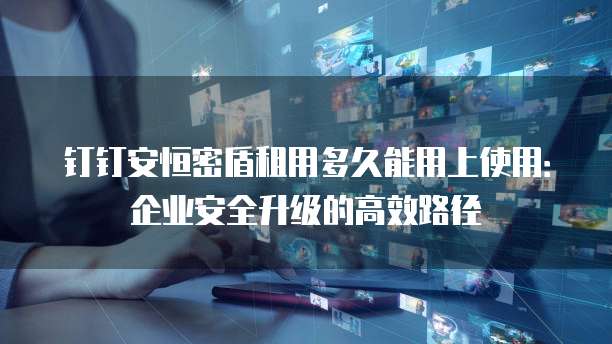 钉钉安恒密盾租用多久能用上使用：企业安全升级的高效路径