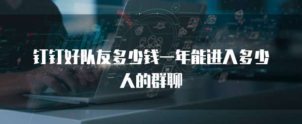 钉钉好队友多少钱一年能进入多少人的群聊