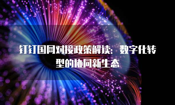 钉钉国网对接政策解读:数字化转型的协同新生态