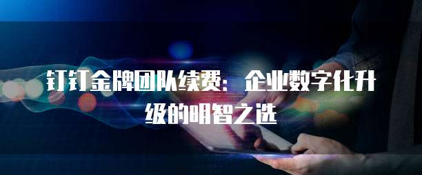 钉钉金牌团队续费:企业数字化升级的明智之选