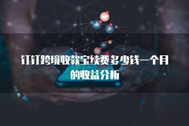 钉钉跨境收款宝续费多少钱一个月的收益分析
