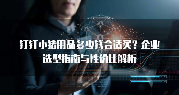 钉钉小猪用品多少钱合适买？企业选型指南与性价比解析