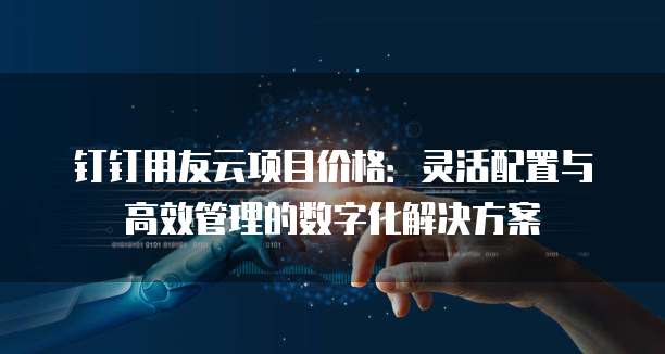 钉钉用友云项目价格:灵活配置与高效管理的数字化解决方案
