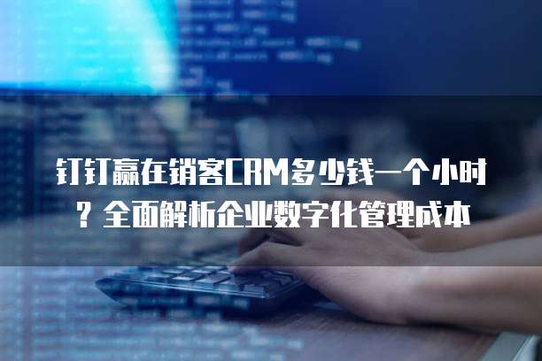 钉钉赢在销客CRM多少钱一个小时?全面解析企业数字化管理成本