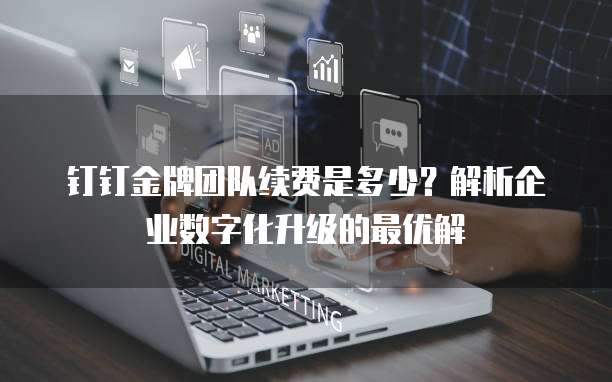 钉钉金牌团队续费是多少?解析企业数字化升级的最优解