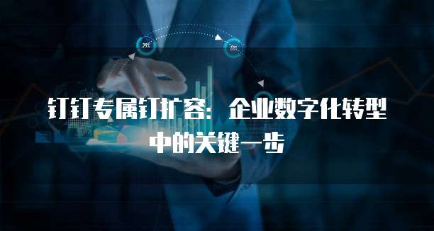 钉钉专属钉扩容：企业数字化转型中的关键一步