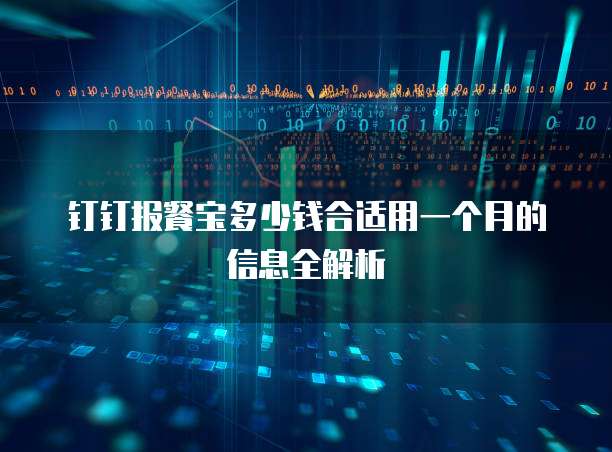 钉钉报餐宝多少钱合适用一个月的信息全解析