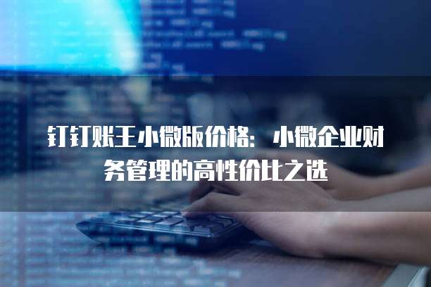 钉钉账王小微版价格：小微企业财务管理的高性价比之选