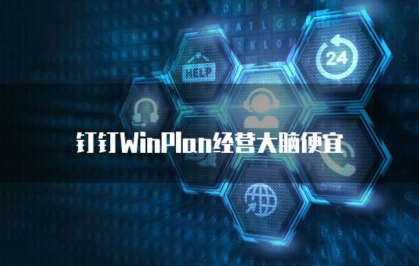 钉钉WinPlan经营大脑便宜