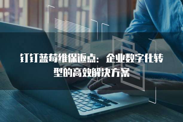 钉钉蓝莓维保返点:企业数字化转型的高效解决方案