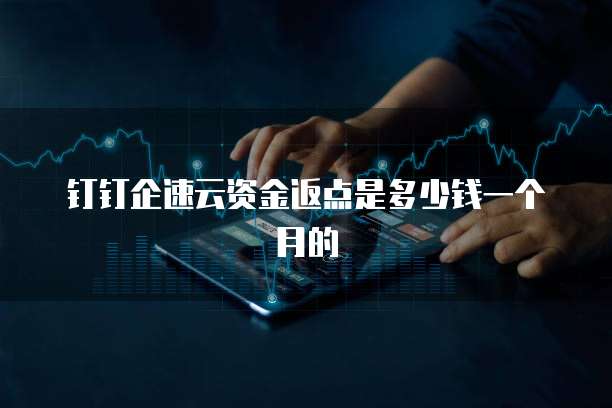 钉钉企速云资金返点是多少钱一个月的