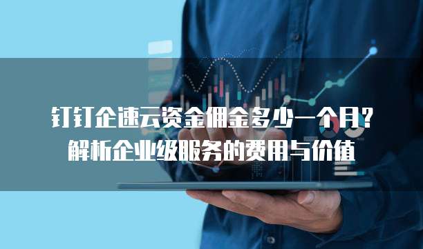 钉钉企速云资金佣金多少一个月？解析企业级服务的费用与价值