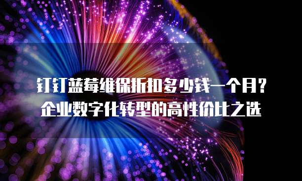 钉钉蓝莓维保折扣多少钱一个月?企业数字化转型的高性价比之选