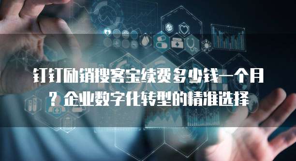 钉钉励销搜客宝续费多少钱一个月？企业数字化转型的精准选择