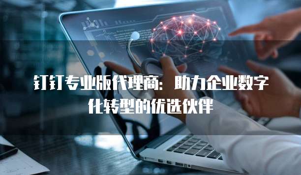 钉钉专业版代理商：助力企业数字化转型的优选伙伴