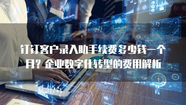 钉钉客户录入助手续费多少钱一个月?企业数字化转型的费用解析
