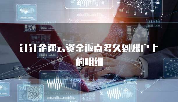 钉钉企速云资金返点多久到账户上的明细