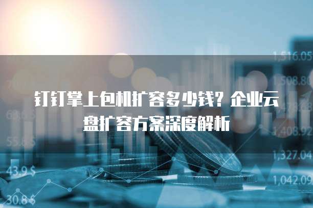 钉钉掌上包机扩容多少钱？企业云盘扩容方案深度解析