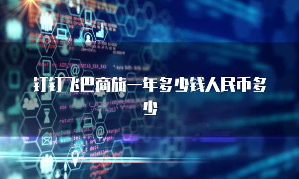 钉钉飞巴商旅一年多少钱人民币多少