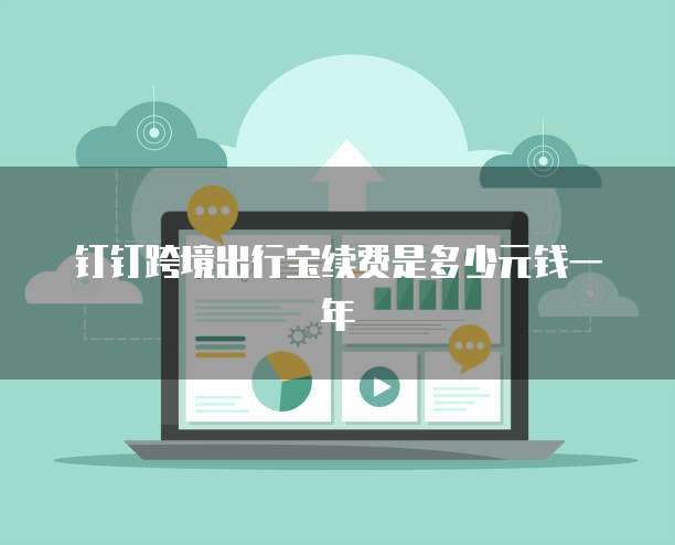 钉钉跨境出行宝续费是多少元钱一年
