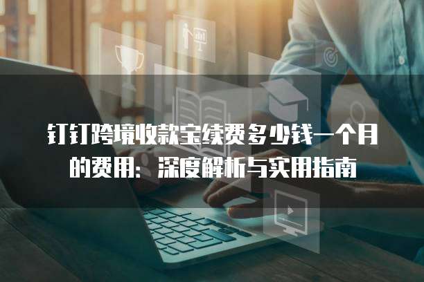 钉钉跨境收款宝续费多少钱一个月的费用：深度解析与实用指南