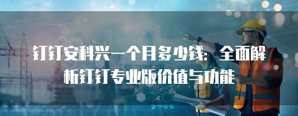 钉钉安科兴一个月多少钱:全面解析钉钉专业版价值与功能
