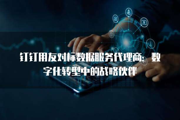 钉钉用友对标数据服务代理商：数字化转型中的战略伙伴