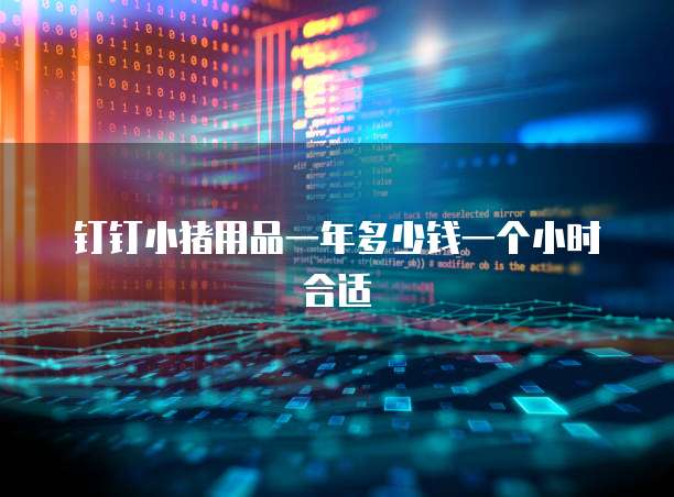 钉钉小猪用品一年多少钱一个小时合适