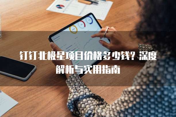 钉钉北极星项目价格多少钱?深度解析与实用指南