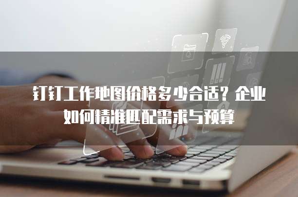 钉钉工作地图价格多少合适?企业如何精准匹配需求与预算