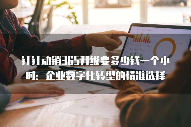 钉钉动销365升级要多少钱一个小时:企业数字化转型的精准选择