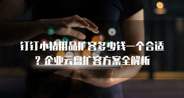 钉钉小猪用品扩容多少钱一个合适?企业云盘扩容方案全解析
