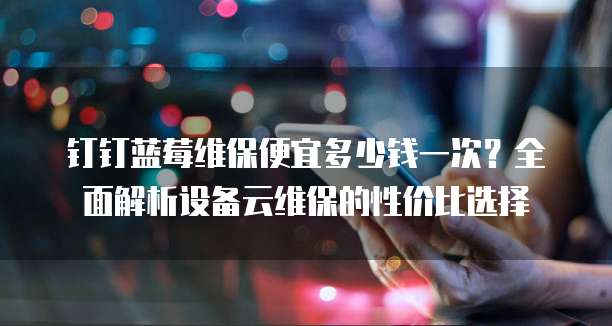 钉钉蓝莓维保便宜多少钱一次？全面解析设备云维保的性价比选择