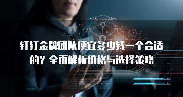 钉钉金牌团队便宜多少钱一个合适的?全面解析价格与选择策略