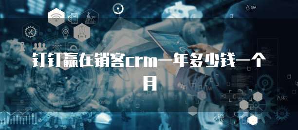 钉钉赢在销客crm一年多少钱一个月