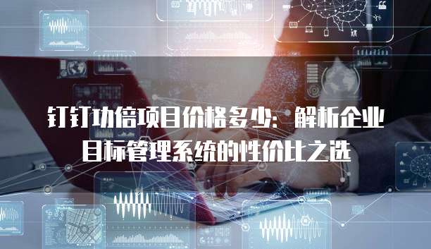 钉钉功倍项目价格多少:解析企业目标管理系统的性价比之选