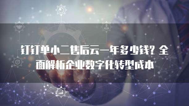 钉钉单小二售后云一年多少钱？全面解析企业数字化转型成本