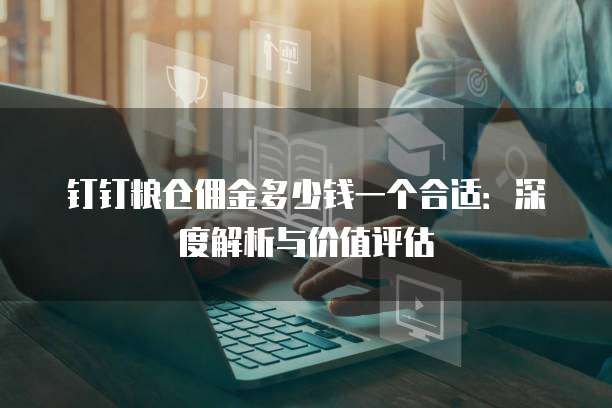 钉钉粮仓佣金多少钱一个合适:深度解析与价值评估
