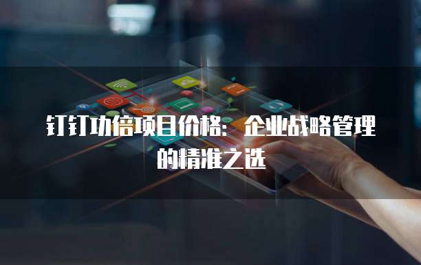 钉钉功倍项目价格：企业战略管理的精准之选