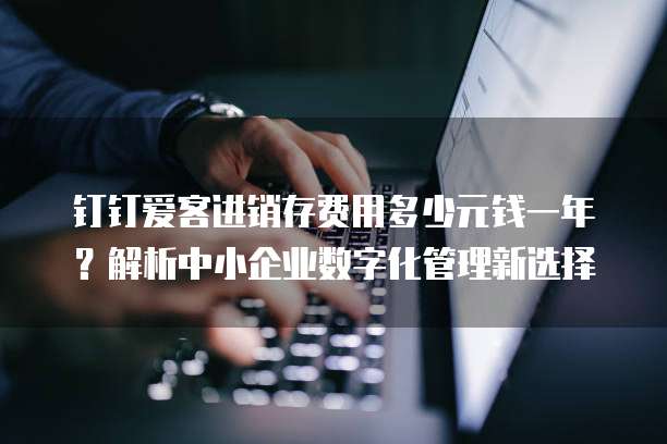 钉钉爱客进销存费用多少元钱一年?解析中小企业数字化管理新选择