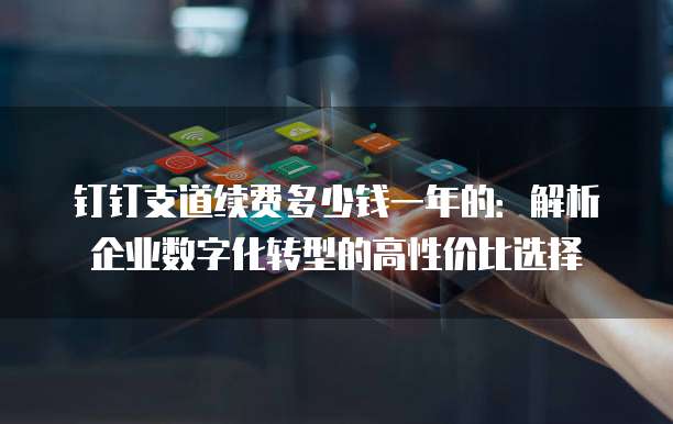 钉钉支道续费多少钱一年的:解析企业数字化转型的高性价比选择