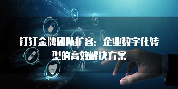 钉钉金牌团队扩容:企业数字化转型的高效解决方案