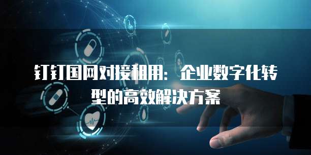 钉钉国网对接租用:企业数字化转型的高效解决方案